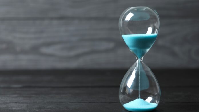 Shutterstock_2511883517